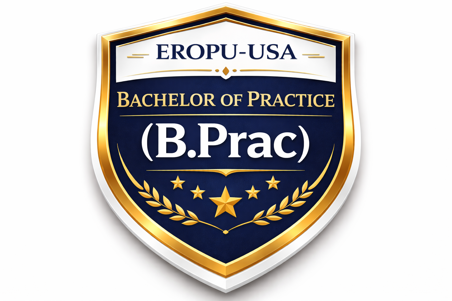 Bachelor Of Practice