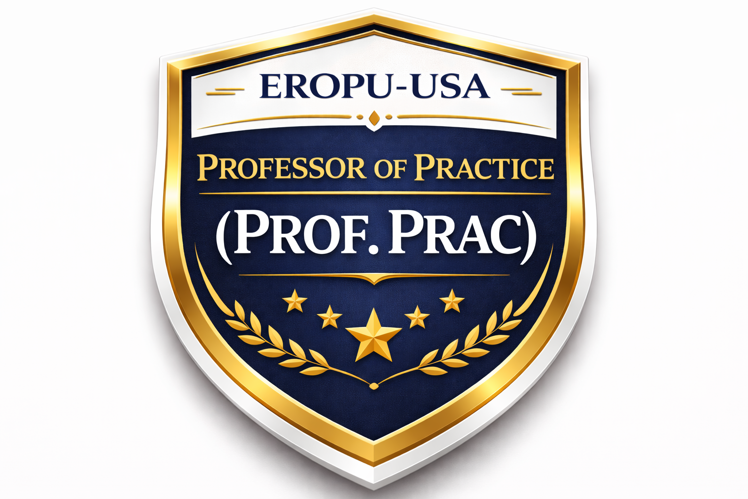Professor Of Practice